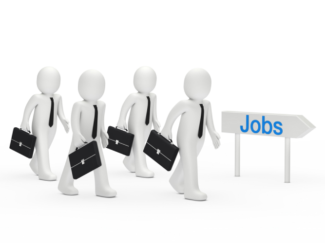 TürkMahall Career System: Innovative Solutions for Employers and Job Seekers